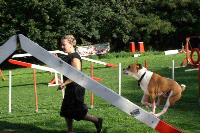 agility 2011-08